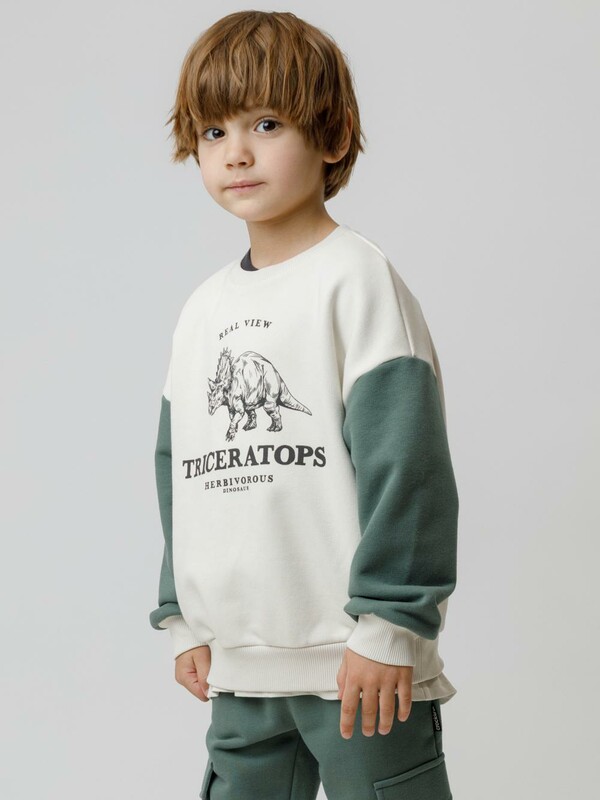 джемпер (свитшот) для мал